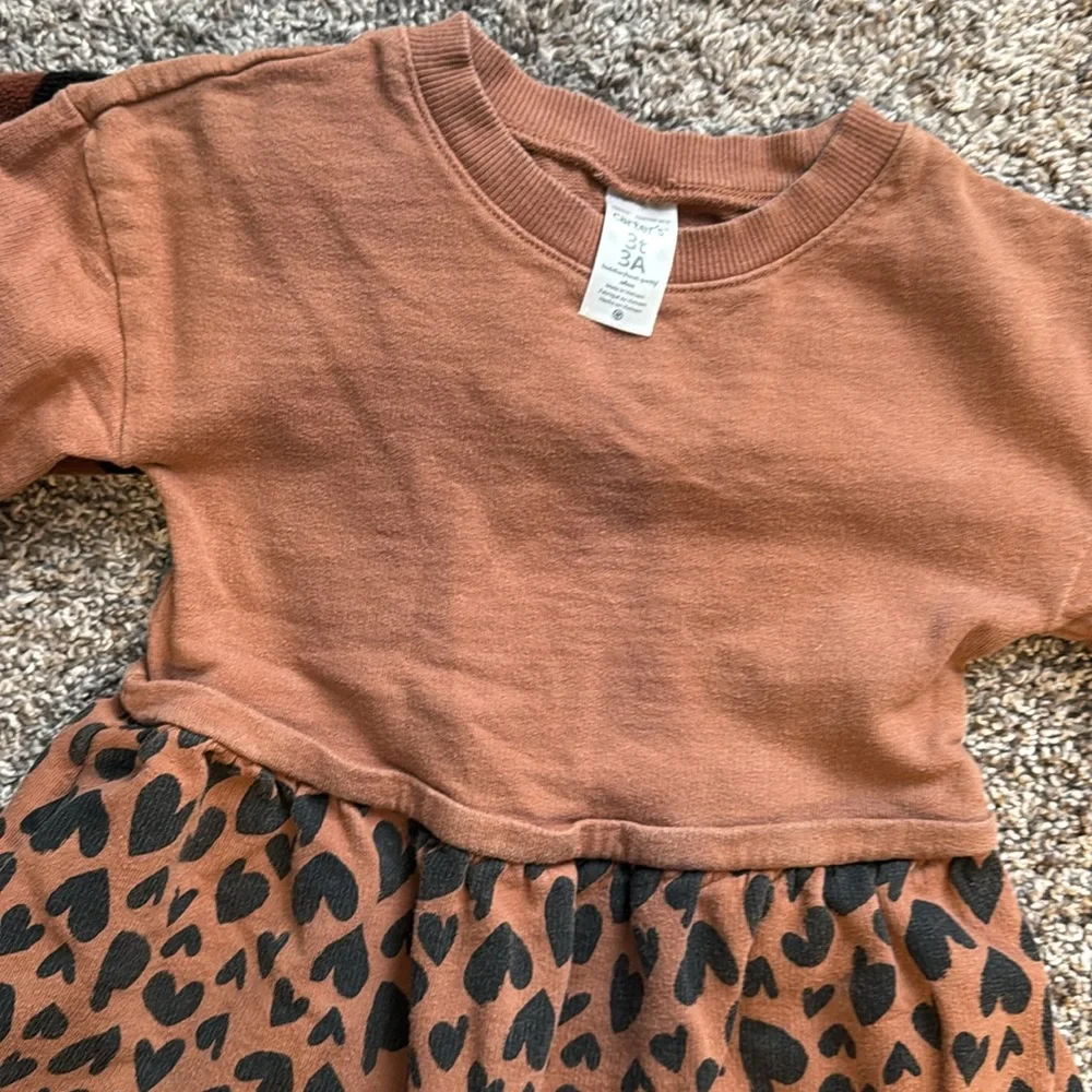 2/$10 3T Fuzzy sweatshirt and matching dress